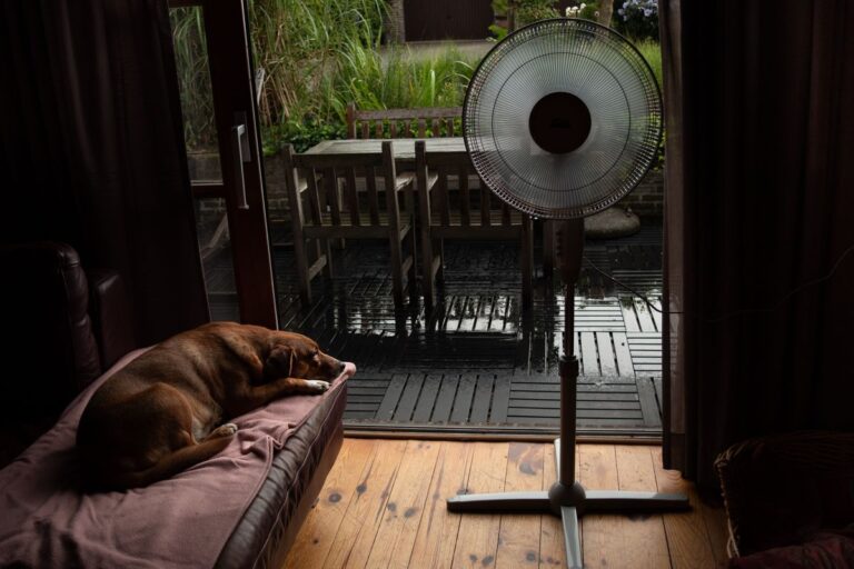 Ventilatore a piantana in casa