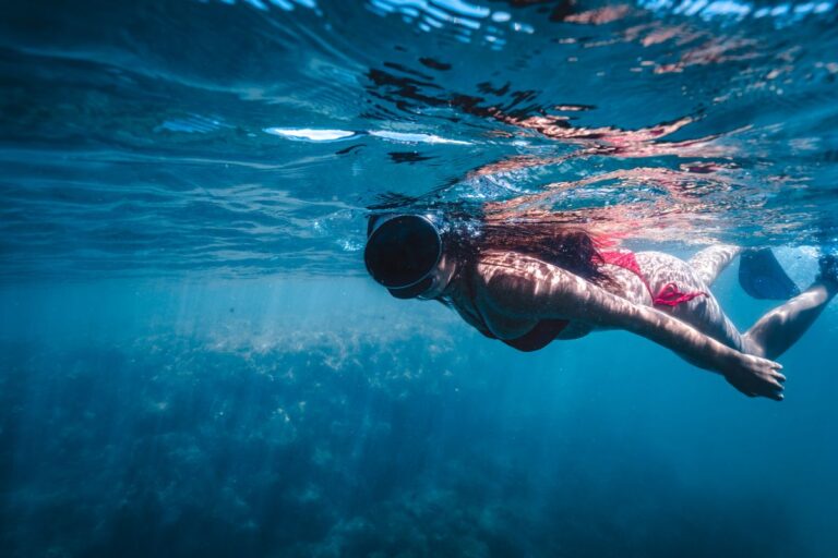 Persona che fa snorkeling in mare tra i pesci